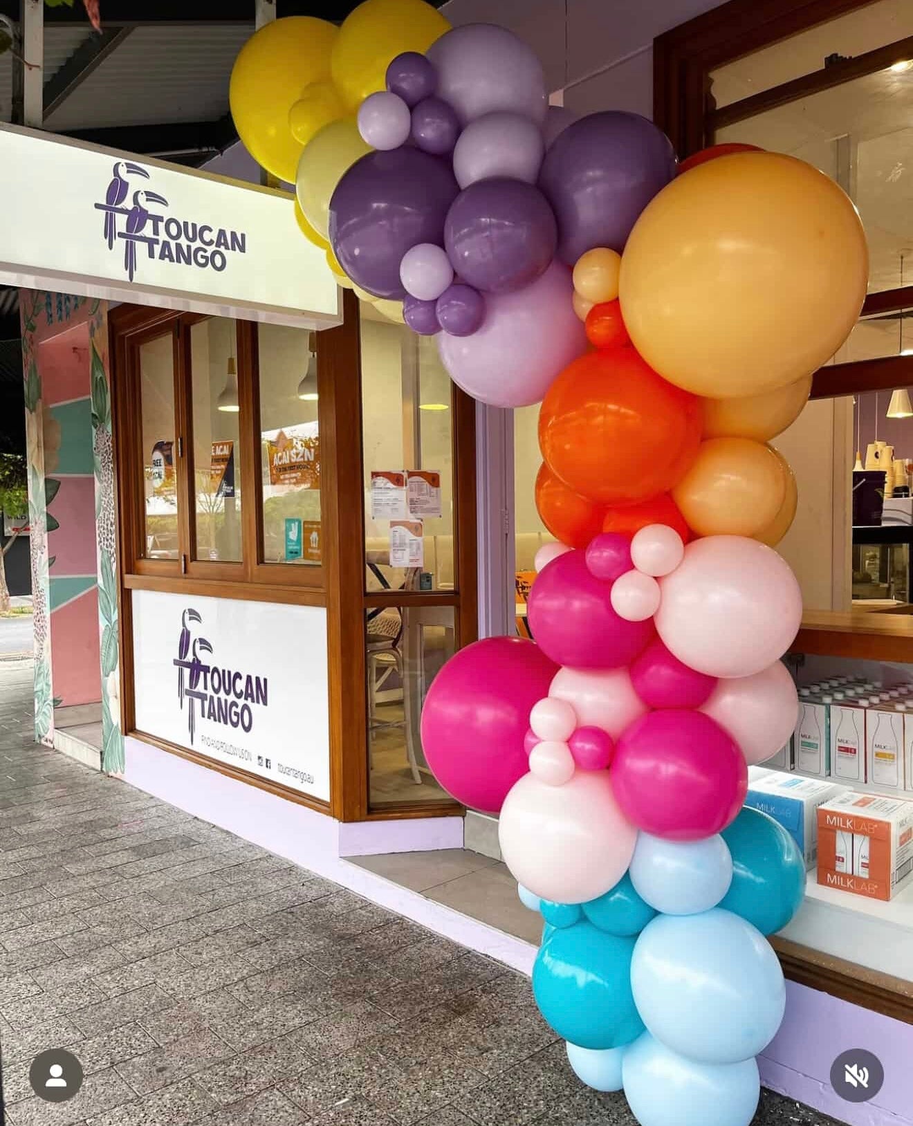 Balloon Garland for Toucan Tango Acai Bar