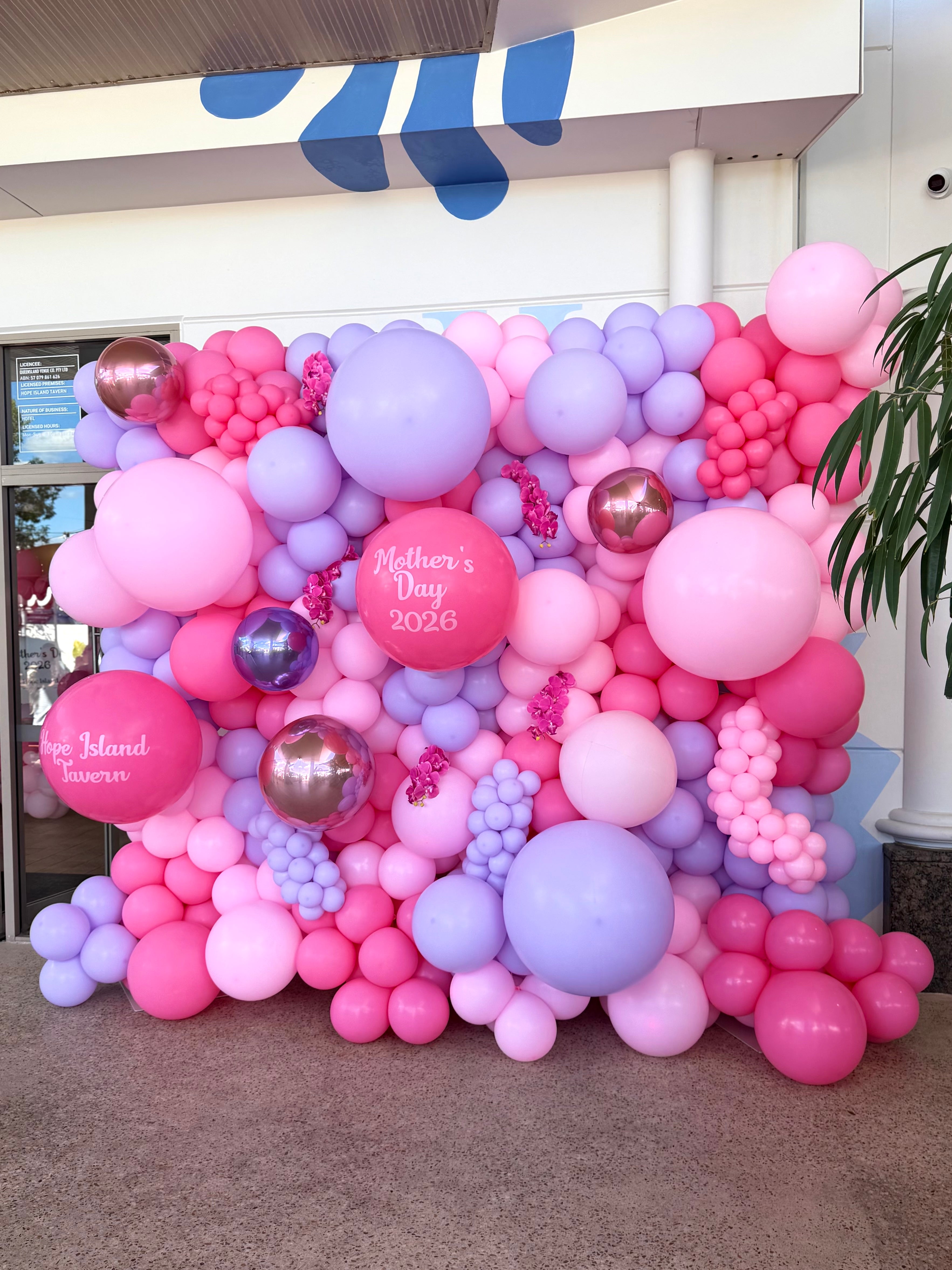Organic Balloon Wall with Frame