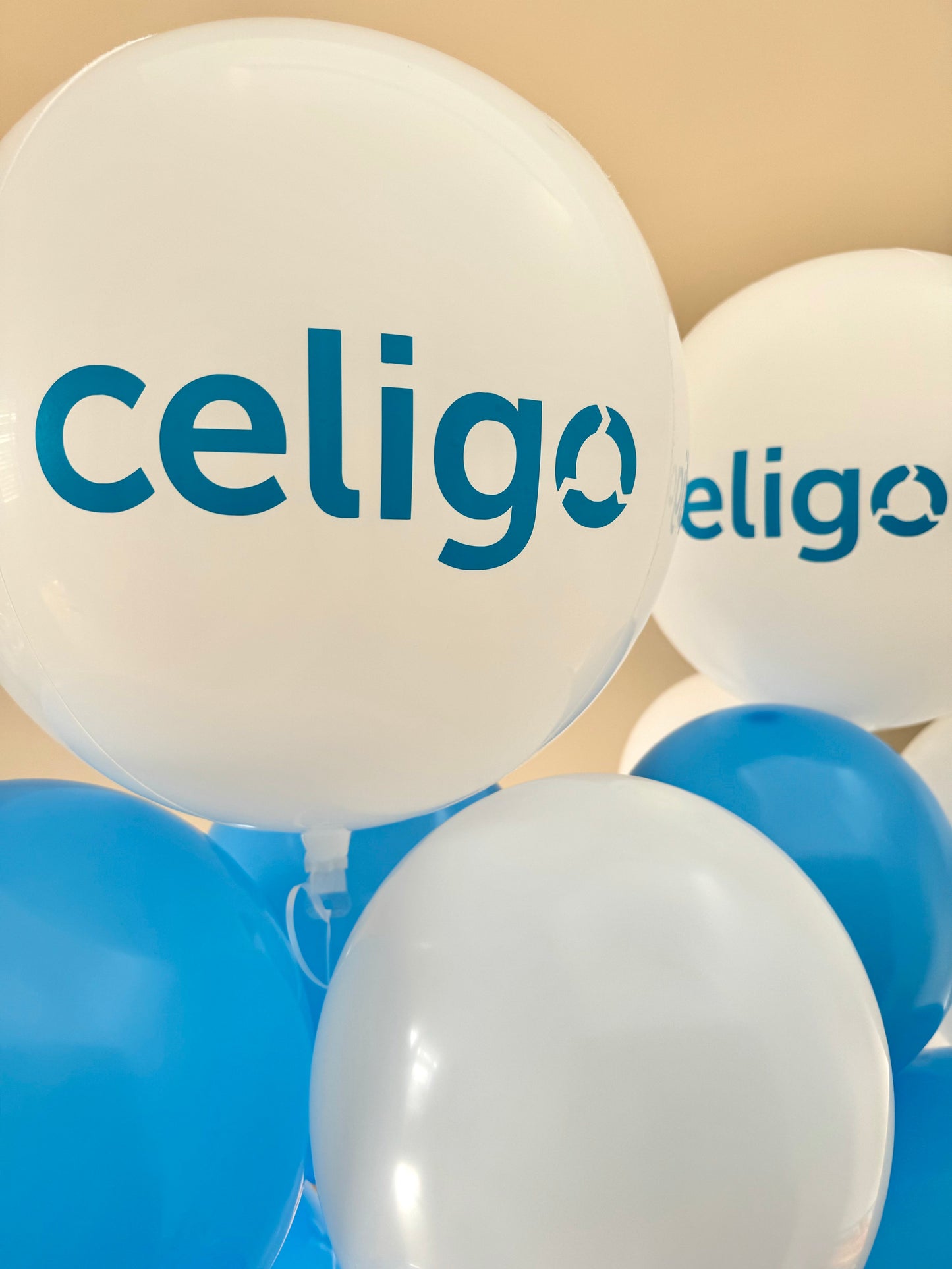 Corporate Balloon Bouquet with Logo- Celigo